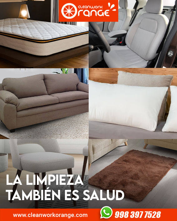 ¿Huele a humedad? Cómo eliminar hongos y mal olor en Cancún | Cleanwork Orange